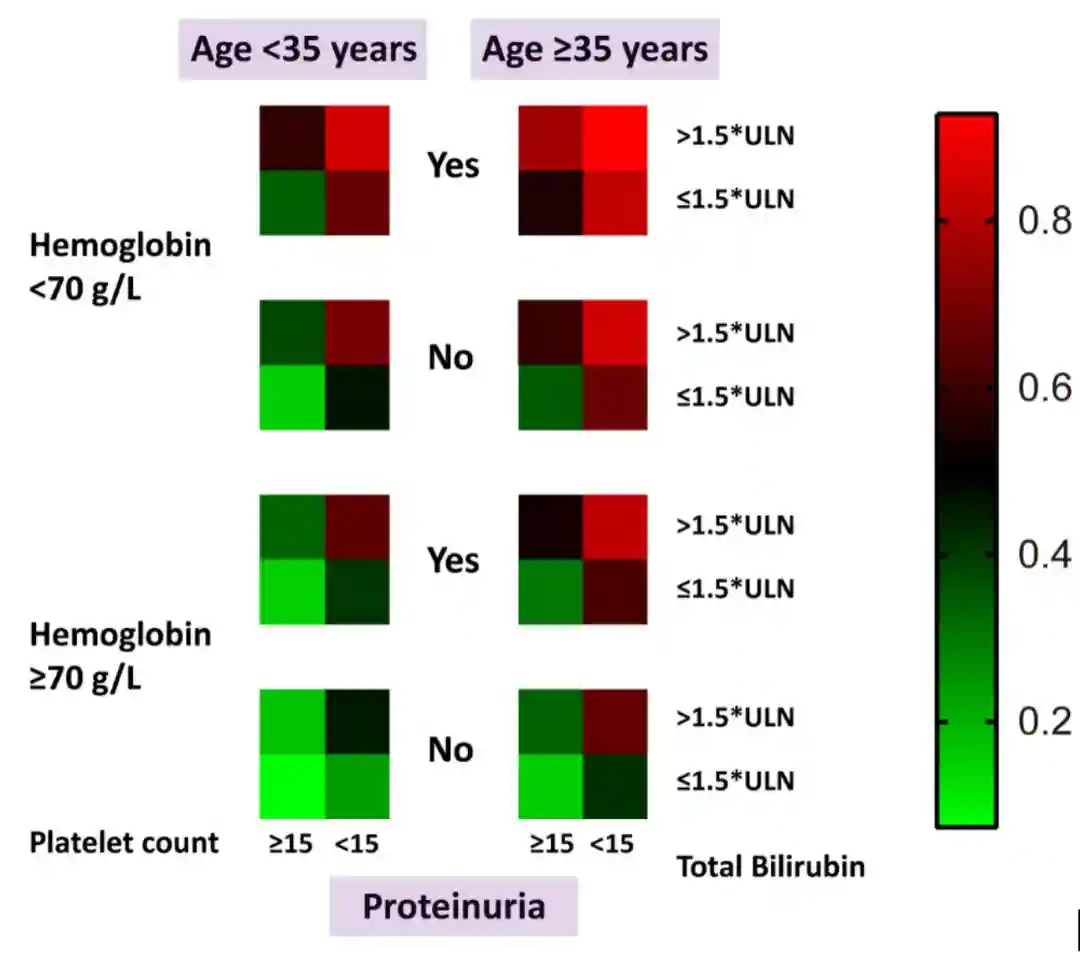 异基因造血干细胞移植相关血栓性微血管病的BATAP预后积分系统创建