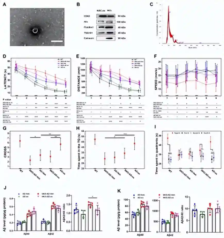 同济大学刘健慧团队联合上海交大周滟团队、复旦大学张琦团队提出神经干细胞源性外泌体促进阿尔茨海默病...