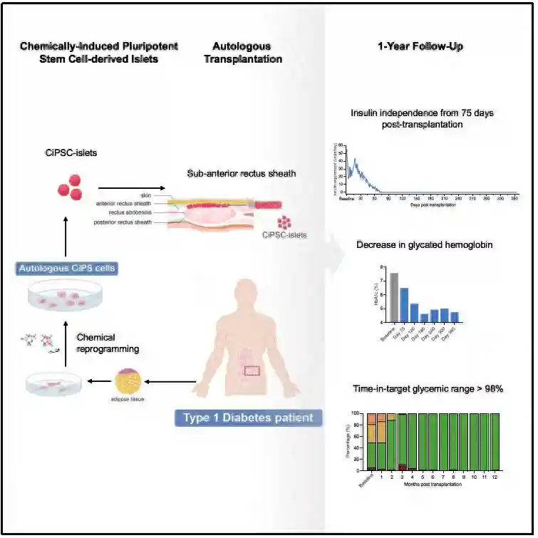 我国科学家重大突破：治疗糖尿病，有望不打胰岛素