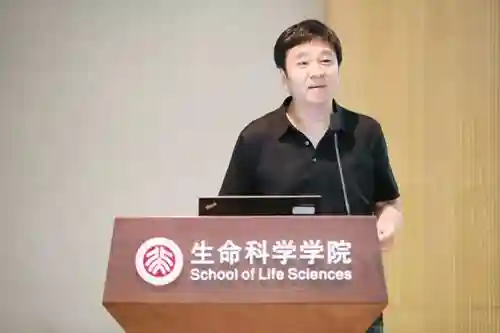 柏林病人不再成孤例？中国科学家用基因编辑干细胞治艾滋病白血病