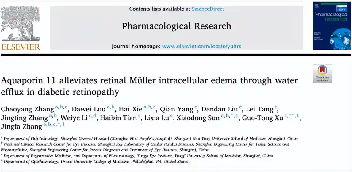 中国之声丨糖尿病黄斑水肿新机制-水通道蛋白11的作用及靶向干预
