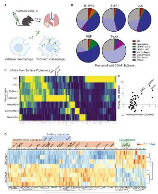 2019十大挺身而出：医生高空为乘客吸尿，武警徒手接轻生女子