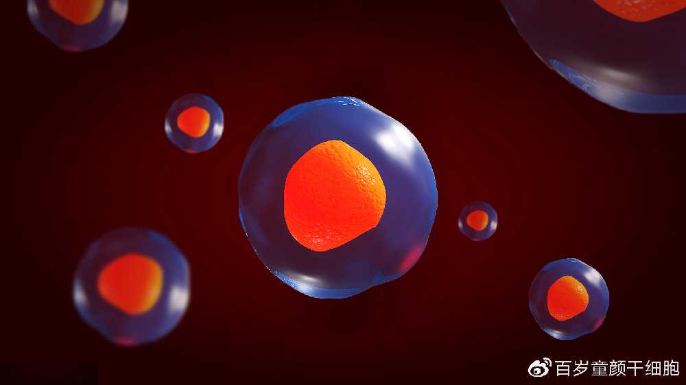 A股头条：持有宁德时代最多的公募基金连续两月减持；国家粮食和物资储备局顺利投放第三批储备铜铝锌