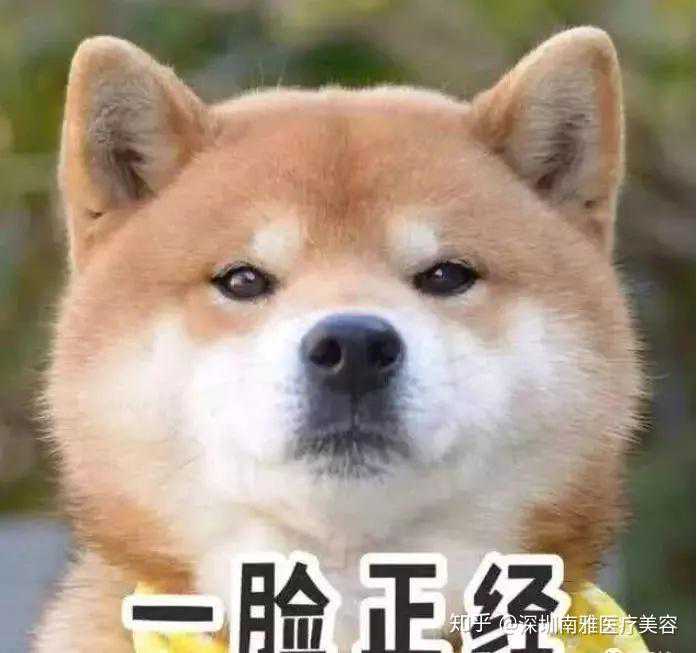 CJTER目次 | 2021年第19期，关于种子细胞研究的故事