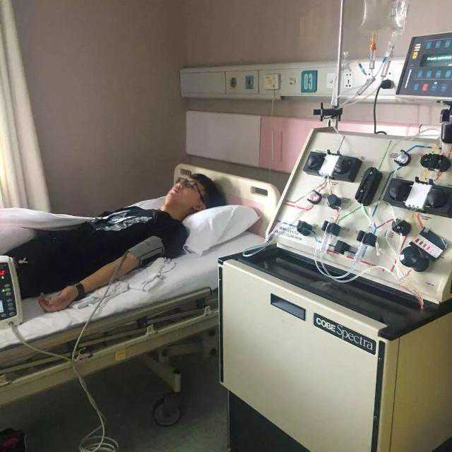 日本学者在老鼠体内培育人类胰脏 日媒：有伦理风险