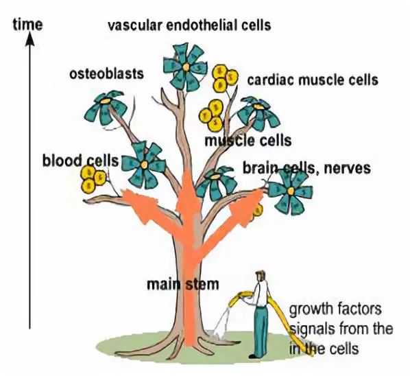 从唐家湾到中关村，珠海清华科技园赴京对接产业资源