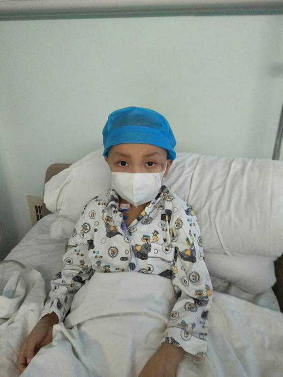 高考生物：病毒的概述