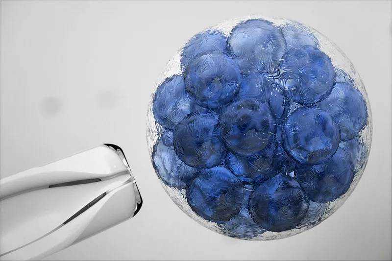 12岁女孩为捐髓救父一天吃6餐，两周增重10斤