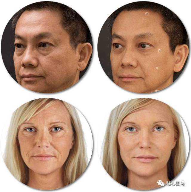 “人造肉”月饼更低脂！人造素肉脂肪和热量比真肉低