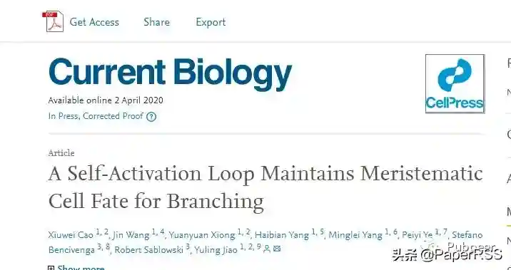 Current Biology|焦雨铃研究组发现干细胞谱系自我维持的新机制