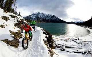 川大科研团队攻坚脑中风治疗